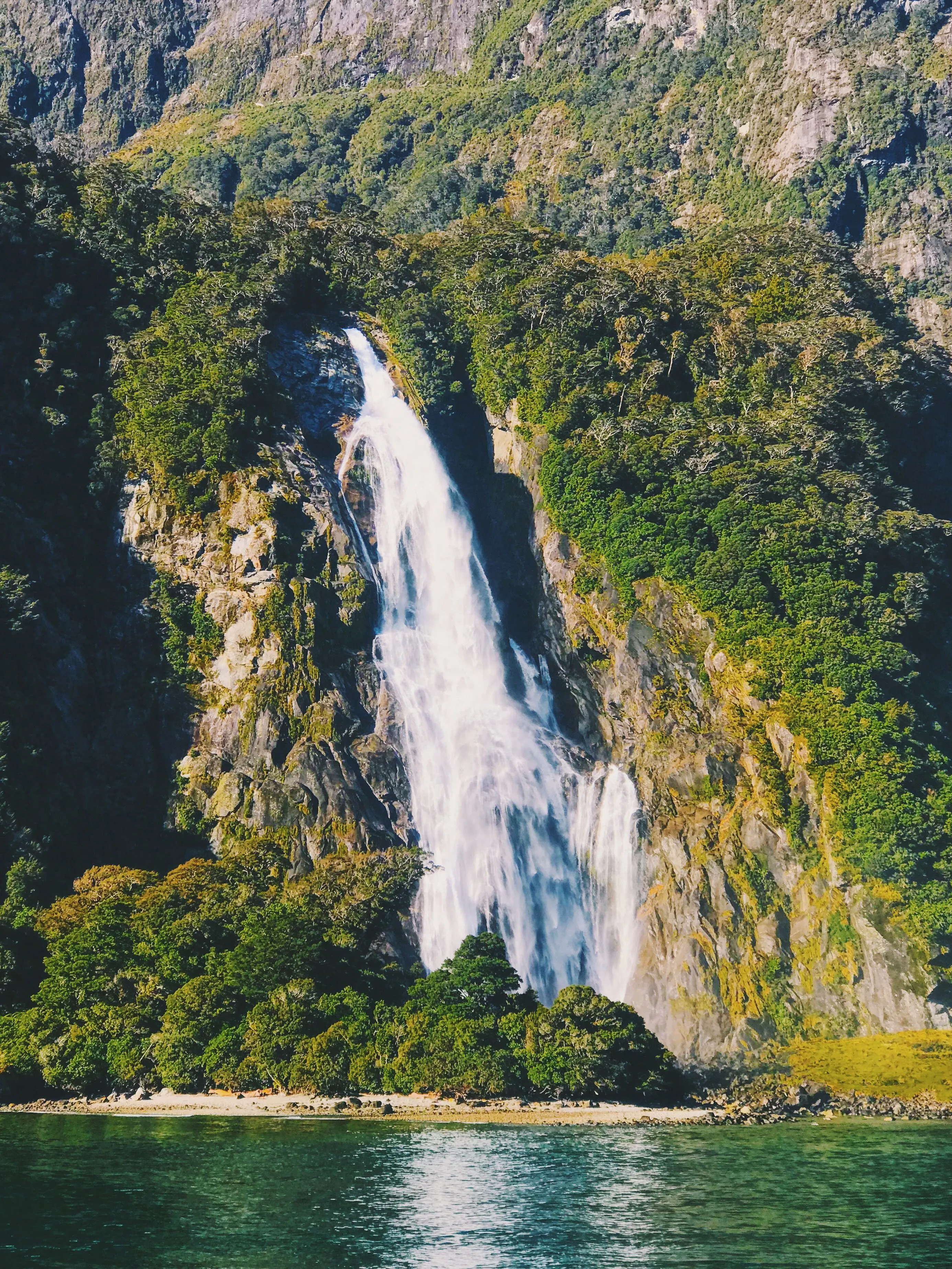 Fiordland