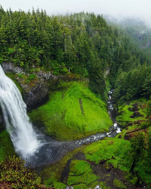Fiordland