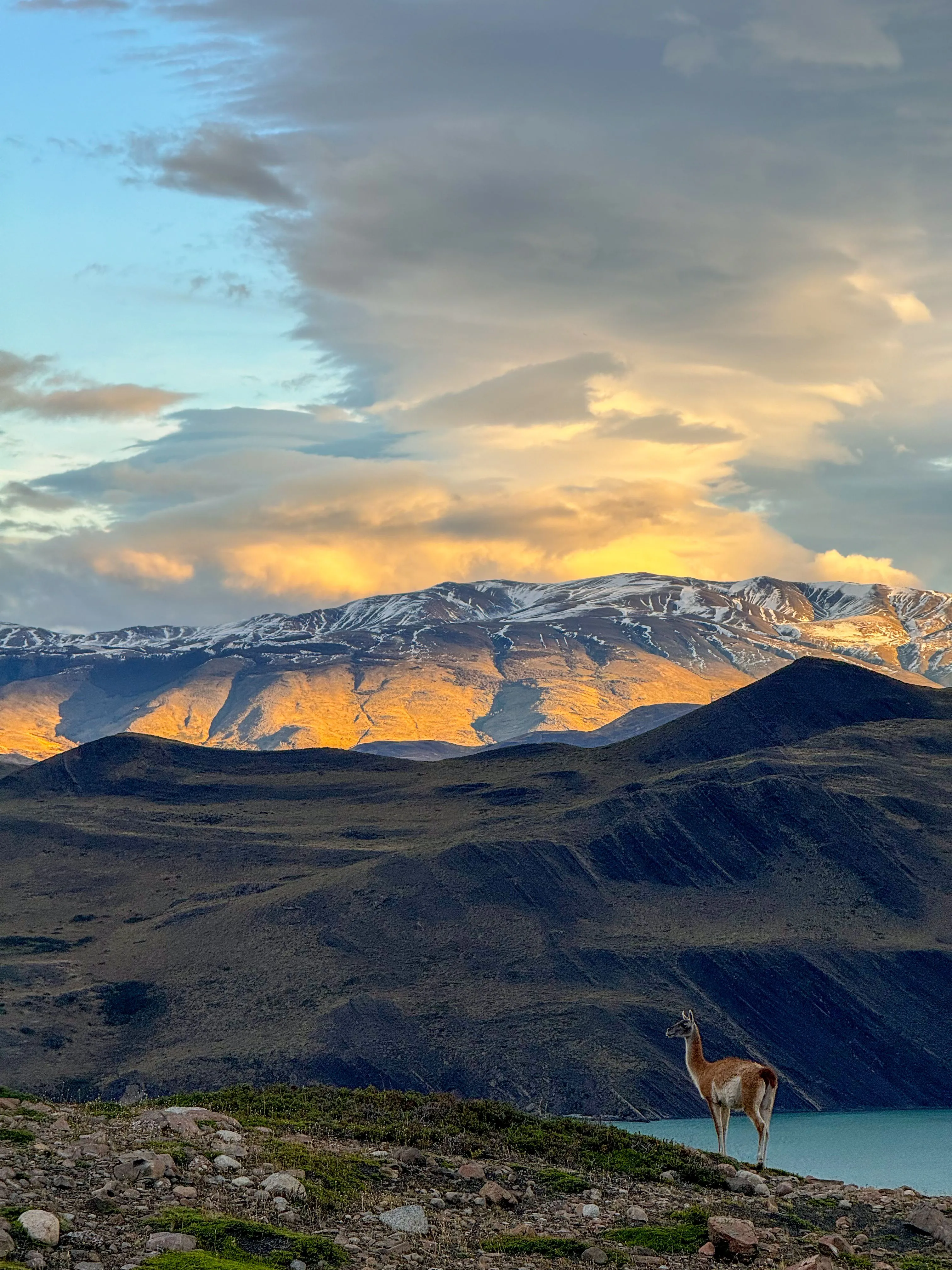 Patagonia
