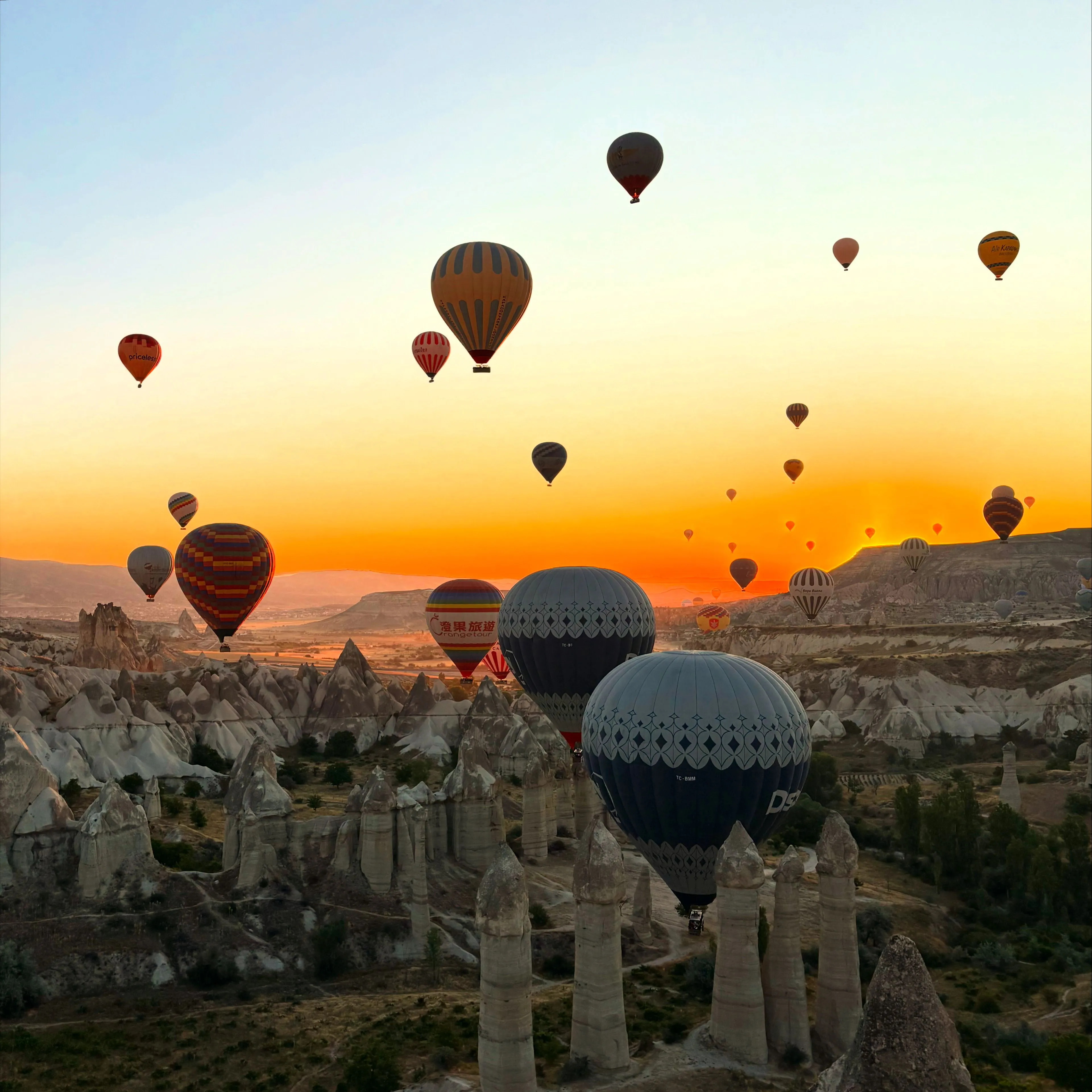 Colorful hot air balloons floating over a landscape