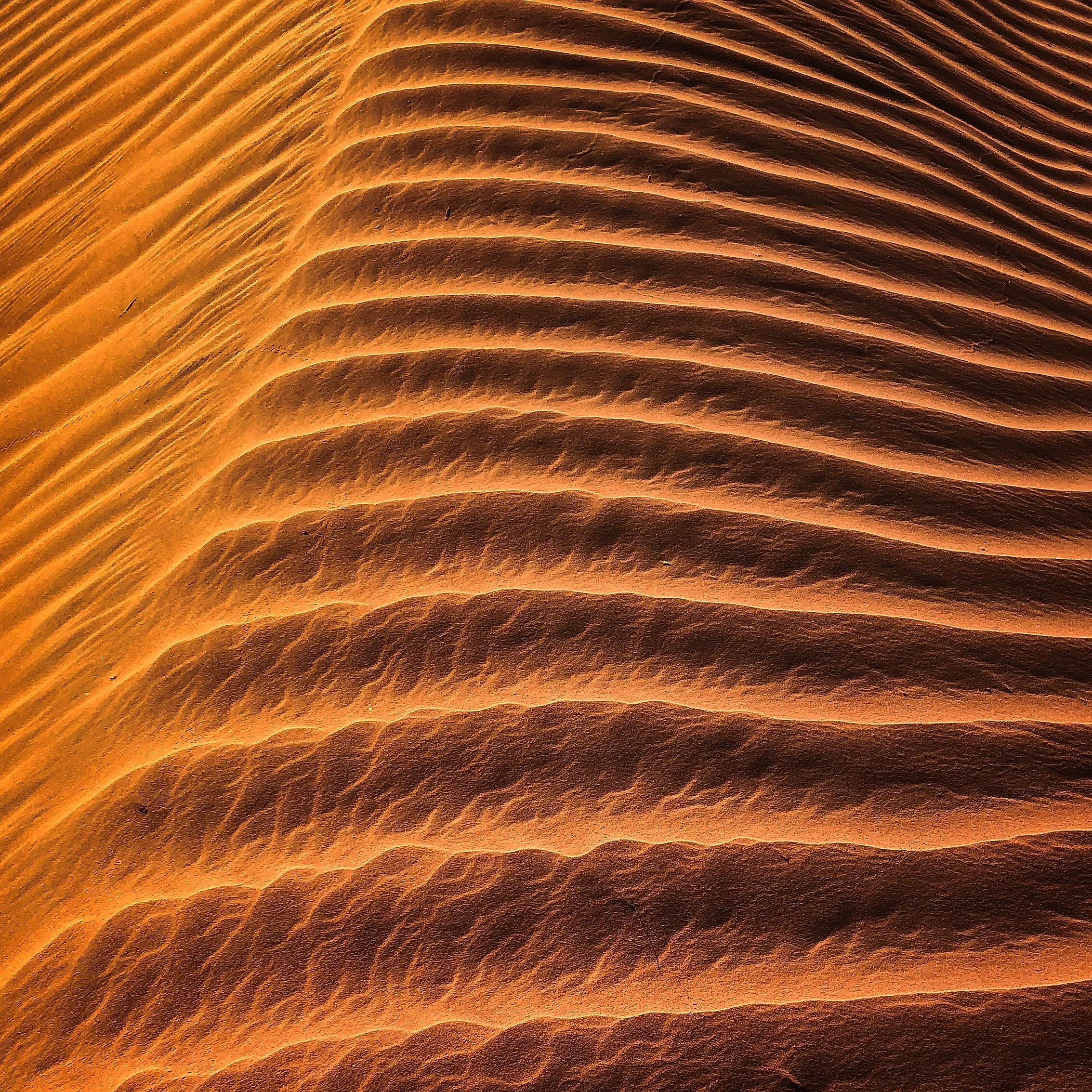 Sand dunes in the desert at golden hour