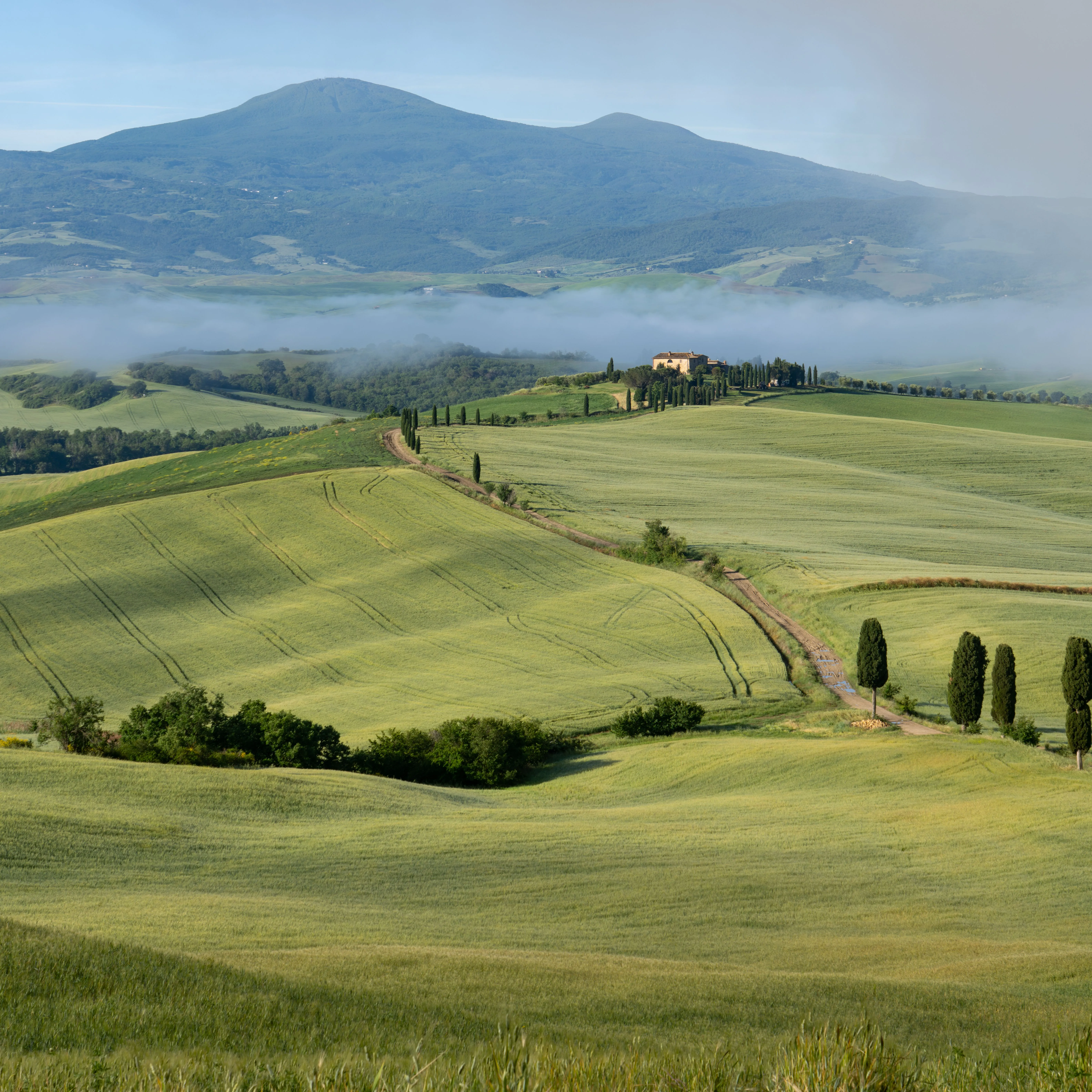 Misty morning landscape with rolling green hills