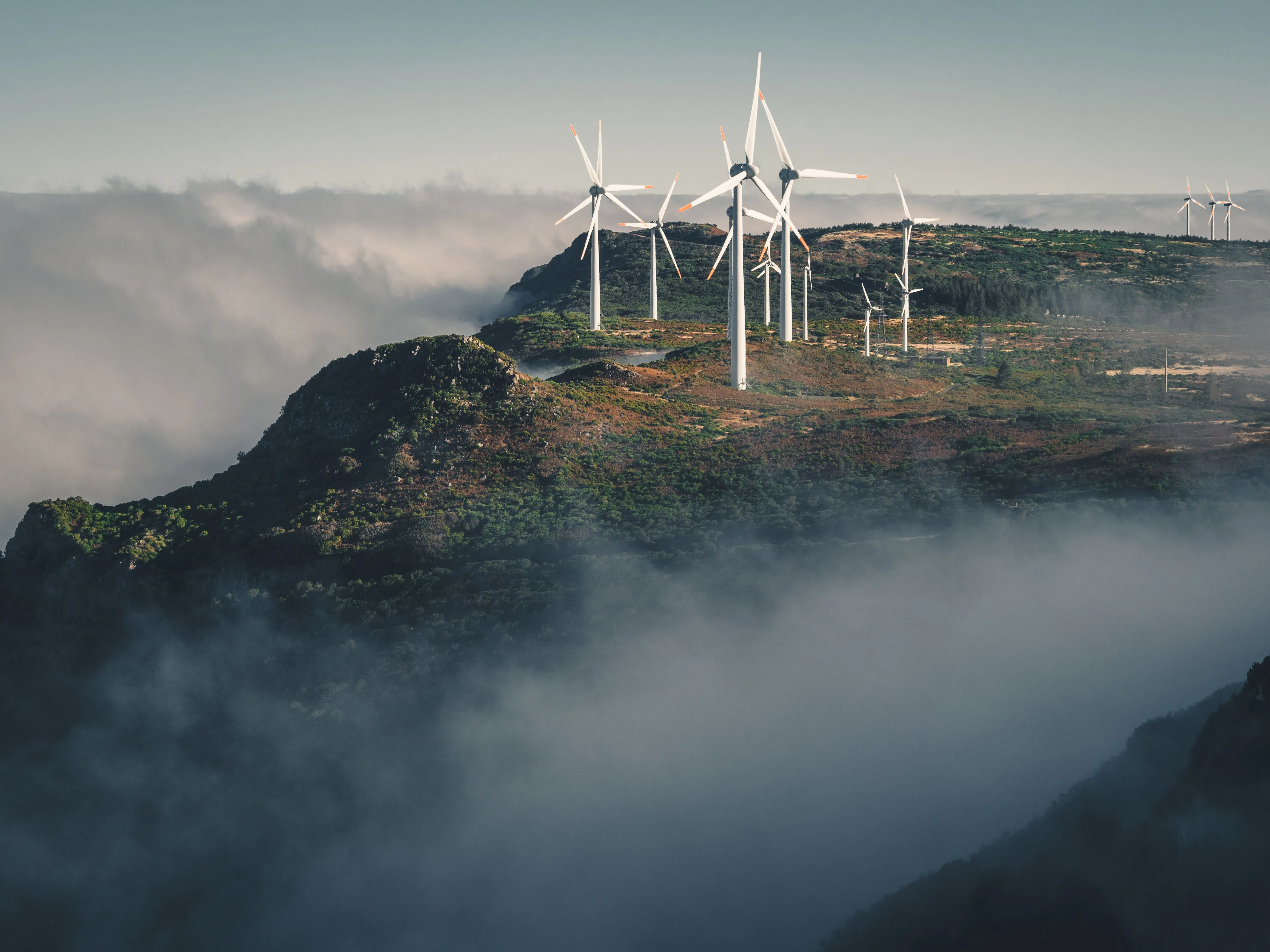 Net Zero